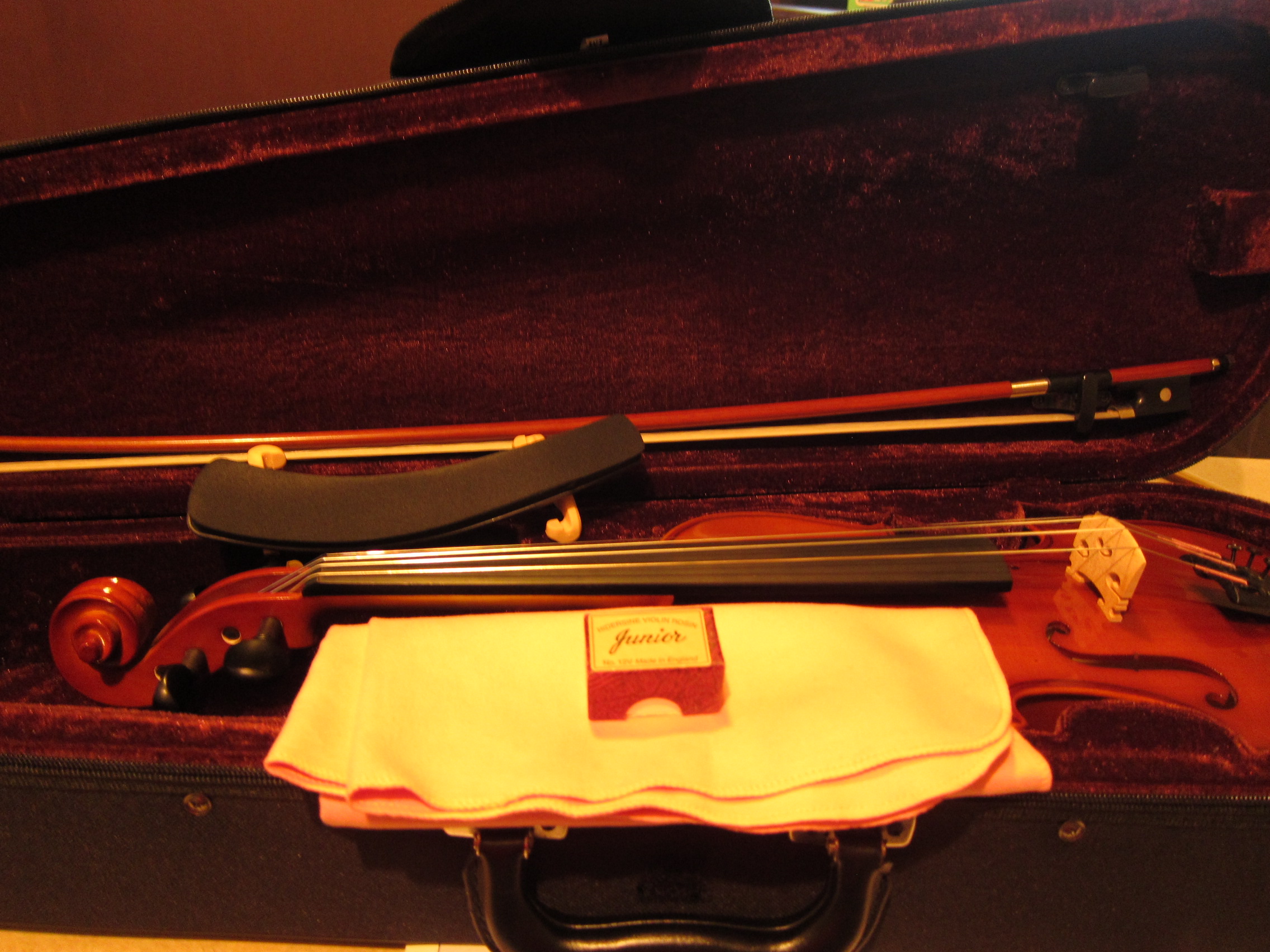 入門用バイオリン、カルロジョルダーノの評判は？VS-1を購入してみた。